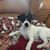 Michele Durbin's profile image