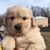 Pat Vanden Heuvel's profile image