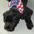 Patty Keane Dowden's profile image