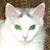 Jean Byrd's profile image