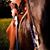 Tracie Preslar's profile image