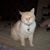 Florence Buono Staten's profile image