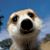 Dawn Derosier's profile image