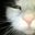 Brynne Z's profile image