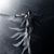 Matthew Murnane's profile image