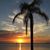 Ramon Alicea's profile image