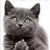 John Hibberd's profile image