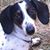 Eric A. Rieker's profile image