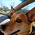 Melissa Anne Traeger's profile image