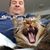 Michael Friedman's profile image