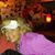 Bekki Koenig's profile image