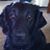 Patsy Minter's profile image