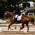 Stephanie Rupinski Wangler's profile image