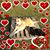 Carol Holt's profile image