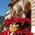Silvia Esquivel's profile image