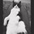 Paul Ogden's profile image