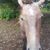 Raelyn Keene-Williams's profile image