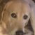 Ellen Arnold's profile image