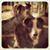 Adrienne Larrew's profile image