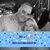 Dionne Quarles Watts's profile image