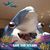 Kato Slonina's profile image