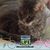 Connie Mckenna's profile image