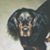Mary S. Allen's profile image