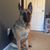 Christine Abbatemarco's profile image