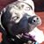 Adam Dimeo's profile image