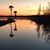 Cathie Brauns Guinto's profile image
