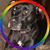 Nancy Hogendorp's profile image