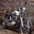 Tim Vanderbas's profile image