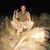 Dakota Winters's profile image