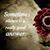 Amna Serat's profile image