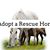 Wendy Thomson's profile image