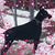 Dolly Laclaire-Benwell's profile image