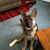 Kathy Tessendorf's profile image