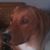 Drew Raisner's profile image