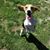 Diane Crosby's profile image