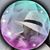 Laurence Delalune's profile image