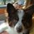 Charlotte Dykes's profile image