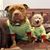 Cathy Goodwin Zavala Meren's profile image