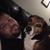 Philip Rabideau's profile image
