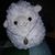 Starr Sadler's profile image