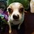 Tracy Warren's profile image