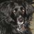 Michelle Hagelgans's profile image