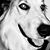 Kitt Holk's profile image