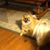 Doug McKlemurry's profile image