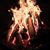 Amy Vaudreuil's profile image