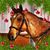 Jill Lagarenne's profile image